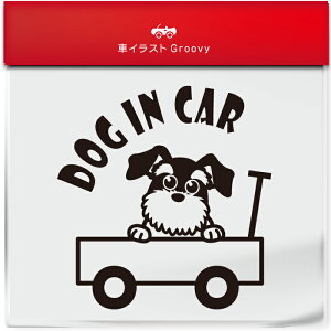 킢  XebJ[ J[XebJ[ h V[  ViEU[  ybg  Ck Aj} ObY G xr[J[ Ԃ q Ă܂  Vv uh DP 