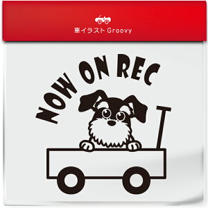 킢  XebJ[ J[XebJ[ h V[ hR hCuR[_[ ^撆  ViEU[  ybg  Ck Aj} ObY G Be xr[J[  Vv