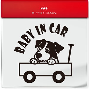 킢  XebJ[ J[XebJ[ h V[ xr[CJ[  WbNbZeA  ybg  Ck Aj} ObY G xr[J[ Ԃ  Ă܂ 