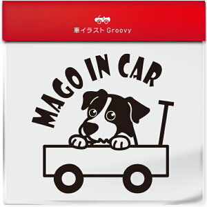 킢  XebJ[ J[XebJ[ h V[  Ԃ q  Ă܂ }SCJ[  WbNbZeA  ybg  Ck Aj} ObY G xr[J[ 