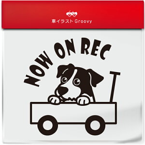 킢  XebJ[ J[XebJ[ h V[ hR hCuR[_[ ^撆  WbNbZeA  ybg  Ck Aj} ObY G Be xr[J[ 