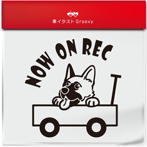 킢  XebJ[ J[XebJ[ h V[ hR hCuR[_[ ^撆  W[} VFp[h  ybg  Ck Aj} ObY G Be xr[J[ 