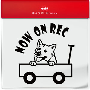 킢  XebJ[ J[XebJ[ h V[ hR hCuR[_[ ^撆  XEF[ fBbV @tg  ybg  Ck Aj} ObY G Be xr[