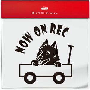 킢  XebJ[ J[XebJ[ h V[ hR hCuR[_[ ^撆  XLbp[L  ybg  Ck Aj} ObY G Be xr[J[  Vv