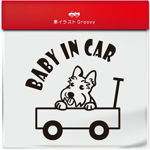 킢  XebJ[ J[XebJ[ h V[ xr[CJ[  XReBbVeA XRbeB  ybg  Ck Aj} ObY G xr[J[ Ԃ  