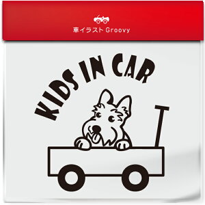 킢  XebJ[ J[XebJ[ h V[ LbYCJ[  XReBbVeA XRbeB  ybg  Ck Aj} ObY G xr[J[ q ǂ Ă܂ 