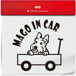 킢  XebJ[ J[XebJ[ h V[  Ԃ q  Ă܂ }SCJ[  XReBbVeA XRbeB  ybg  Ck Aj} ObY G xr[