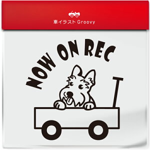 킢  XebJ[ J[XebJ[ h V[ hR hCuR[_[ ^撆  XReBbVeA XRbeB  ybg  Ck Aj} ObY G Be xr[