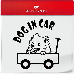 킢  XebJ[ J[XebJ[ h V[  Xsbc  ybg  Ck Aj} ObY G xr[J[ Ԃ q Ă܂  Vv uh DP Dw 