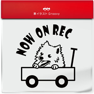 킢  XebJ[ J[XebJ[ h V[ hR hCuR[_[ ^撆  Xsbc  ybg  Ck Aj} ObY G Be xr[J[  Vv u