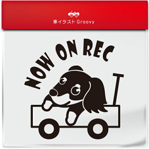 킢  XebJ[ J[XebJ[ h V[ hR hCuR[_[ ^撆  _bNXth _bNX  ybg  Ck Aj} ObY G Be xr[J[ 