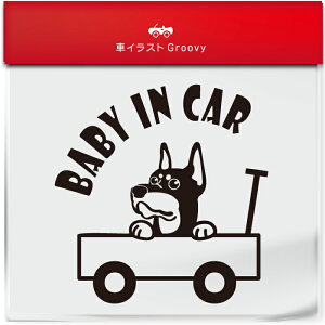 킢  XebJ[ J[XebJ[ h V[ xr[CJ[  h[x}  ybg  Ck Aj} ObY G xr[J[ Ԃ  Ă܂  V