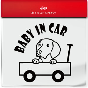 킢  XebJ[ J[XebJ[ h V[ xr[CJ[  nKArY  ybg  Ck Aj} ObY G xr[J[ Ԃ  Ă܂ 