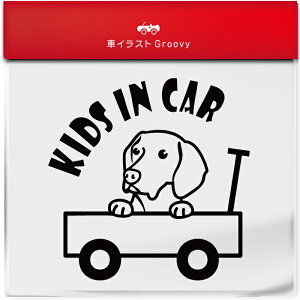 킢  XebJ[ J[XebJ[ h V[ LbYCJ[  nKArY  ybg  Ck Aj} ObY G xr[J[ q ǂ Ă܂  V