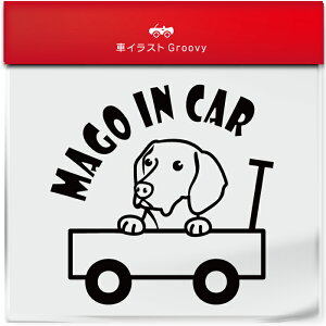 킢  XebJ[ J[XebJ[ h V[  Ԃ q  Ă܂ }SCJ[  nKArY  ybg  Ck Aj} ObY G xr[J[ 