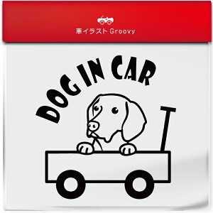 킢  XebJ[ J[XebJ[ h V[  nKArY  ybg  Ck Aj} ObY G xr[J[ Ԃ q Ă܂  Vv uh 