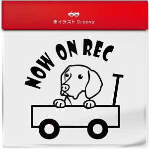 킢  XebJ[ J[XebJ[ h V[ hR hCuR[_[ ^撆  nKArY  ybg  Ck Aj} ObY G Be xr[J[  