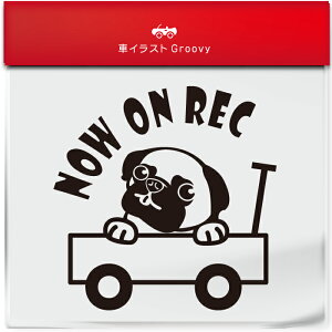 킢  XebJ[ J[XebJ[ h V[ hR hCuR[_[ ^撆  pO ς  ybg  Ck Aj} ObY G Be xr[J[  Vv 