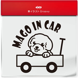 킢  XebJ[ J[XebJ[ h V[  Ԃ q  Ă܂ }SCJ[  rVt[[  ybg  Ck Aj} ObY G xr[J[  