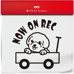 킢  XebJ[ J[XebJ[ h V[ hR hCuR[_[ ^撆  rVt[[  ybg  Ck Aj} ObY G Be xr[J[  V