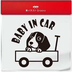 킢  XebJ[ J[XebJ[ h V[ xr[CJ[  r[O  ybg  Ck Aj} ObY G xr[J[ Ԃ  Ă܂  Vv