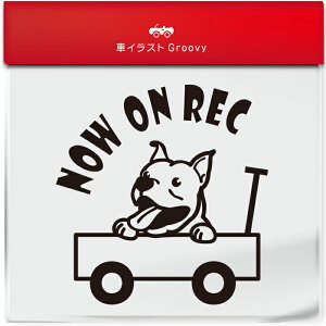 킢  XebJ[ J[XebJ[ h V[ hR hCuR[_[ ^撆  sbgu  ybg  Ck Aj} ObY G Be xr[J[  Vv 