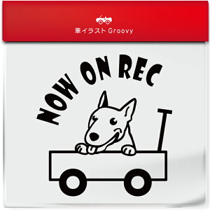 킢  XebJ[ J[XebJ[ h V[ hR hCuR[_[ ^撆  ueA  ybg  Ck Aj} ObY G Be xr[J[  Vv 