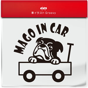 킢  XebJ[ J[XebJ[ h V[  Ԃ q  Ă܂ }SCJ[  uhbO  ybg  Ck Aj} ObY G xr[J[  Vv