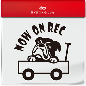 킢  XebJ[ J[XebJ[ h V[ hR hCuR[_[ ^撆  uhbO  ybg  Ck Aj} ObY G Be xr[J[  Vv 