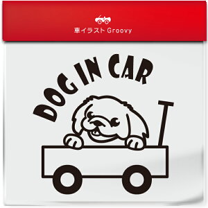 킢  XebJ[ J[XebJ[ h V[  yLj[Y  ybg  Ck Aj} ObY G xr[J[ Ԃ q Ă܂  Vv uh DP D