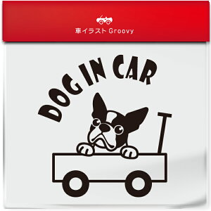 킢  XebJ[ J[XebJ[ h V[  {XgeA  ybg  Ck Aj} ObY G xr[J[ Ԃ q Ă܂  Vv uh DP