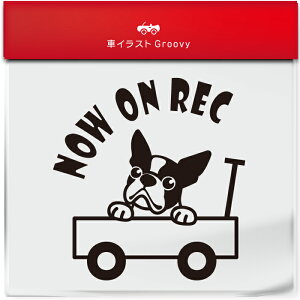 킢  XebJ[ J[XebJ[ h V[ hR hCuR[_[ ^撆  {XgeA  ybg  Ck Aj} ObY G Be xr[J[  V