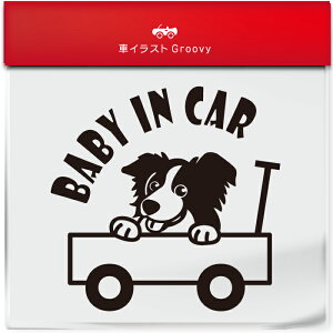 킢  XebJ[ J[XebJ[ h V[ xr[CJ[  {[_[R[  ybg  Ck Aj} ObY G xr[J[ Ԃ  Ă܂  