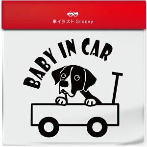 킢  XebJ[ J[XebJ[ h V[ xr[CJ[  |C^[  ybg  Ck Aj} ObY G xr[J[ Ԃ  Ă܂  V