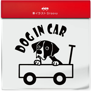 킢  XebJ[ J[XebJ[ h V[  |C^[  ybg  Ck Aj} ObY G xr[J[ Ԃ q Ă܂  Vv uh DP D