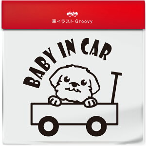 킢  XebJ[ J[XebJ[ h V[ xr[CJ[  }`[Y  ybg  Ck Aj} ObY G xr[J[ Ԃ  Ă܂  V