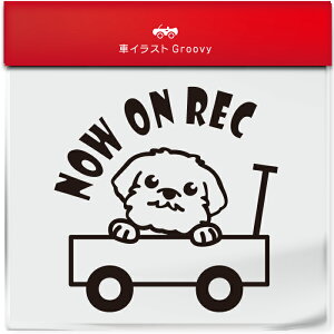 킢  XebJ[ J[XebJ[ h V[ hR hCuR[_[ ^撆  }`[Y  ybg  Ck Aj} ObY G Be xr[J[  Vv 