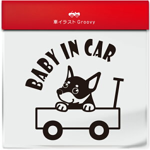 킢  XebJ[ J[XebJ[ h V[ xr[CJ[  ~j`A sV[  ybg  Ck Aj} ObY G xr[J[ Ԃ  Ă܂ 