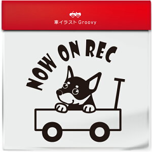 킢  XebJ[ J[XebJ[ h V[ hR hCuR[_[ ^撆  ~j`A sV[  ybg  Ck Aj} ObY G Be xr[J[ 