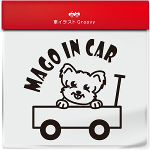 킢  XebJ[ J[XebJ[ h V[  Ԃ q  Ă܂ }SCJ[  [NVeA [NV[eA  ybg  Ck Aj} ObY G x