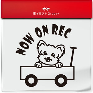 킢  XebJ[ J[XebJ[ h V[ hR hCuR[_[ ^撆  [NVeA [NV[eA  ybg  Ck Aj} ObY G Be x