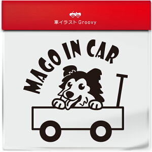 킢  XebJ[ J[XebJ[ h V[  Ԃ q  Ă܂ }SCJ[  R[ tR[  ybg  Ck Aj} ObY G xr[J[  