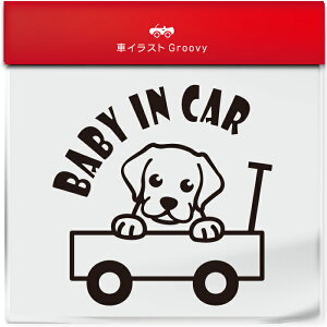 킢  XebJ[ J[XebJ[ h V[ xr[CJ[  uh[go[  ybg  Ck Aj} ObY G xr[J[ Ԃ  Ă܂ 