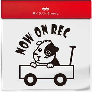 킢  XebJ[ J[XebJ[ h V[ hR hCuR[_[ ^撆 bg Ԃ u`  ybg Aj} ObY G Be xr[J[  Vv 