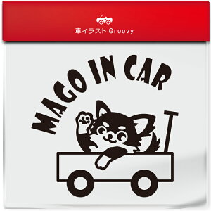 킢  XebJ[ J[XebJ[ h V[  Ԃ q  Ă܂ }SCJ[  ` OR[g`   ybg  Ck Aj} ObY G xr