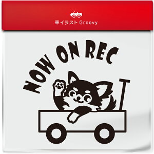 킢  XebJ[ J[XebJ[ h V[ hR hCuR[_[ ^撆  ` OR[g`   ybg  Ck Aj} ObY G Be xr[