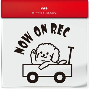 킢  XebJ[ J[XebJ[ h V[ hR hCuR[_[ ^撆  gCv[h v[h  ybg  Ck Aj} ObY G Be xr[J[ 