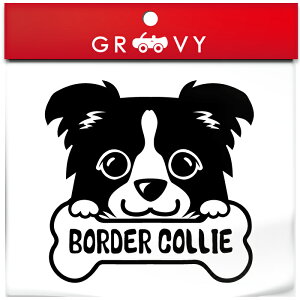 {[_[ R[  XebJ[      Gu V[ fJ[ ANZT[ uh AEghA ObY G   