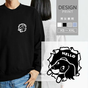 XEFbg g[i[ _bNXth    ̂ Y fB[X  킢 100% lC uh pC  gbvX AEghA JWA  傫 T