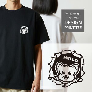 TVc  [NVeA [NV[eA    ̂ Y fB[X JWA 傫 TCY  킢 낢 uh Vv   eB[V